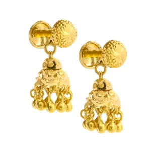 Fancy Earring